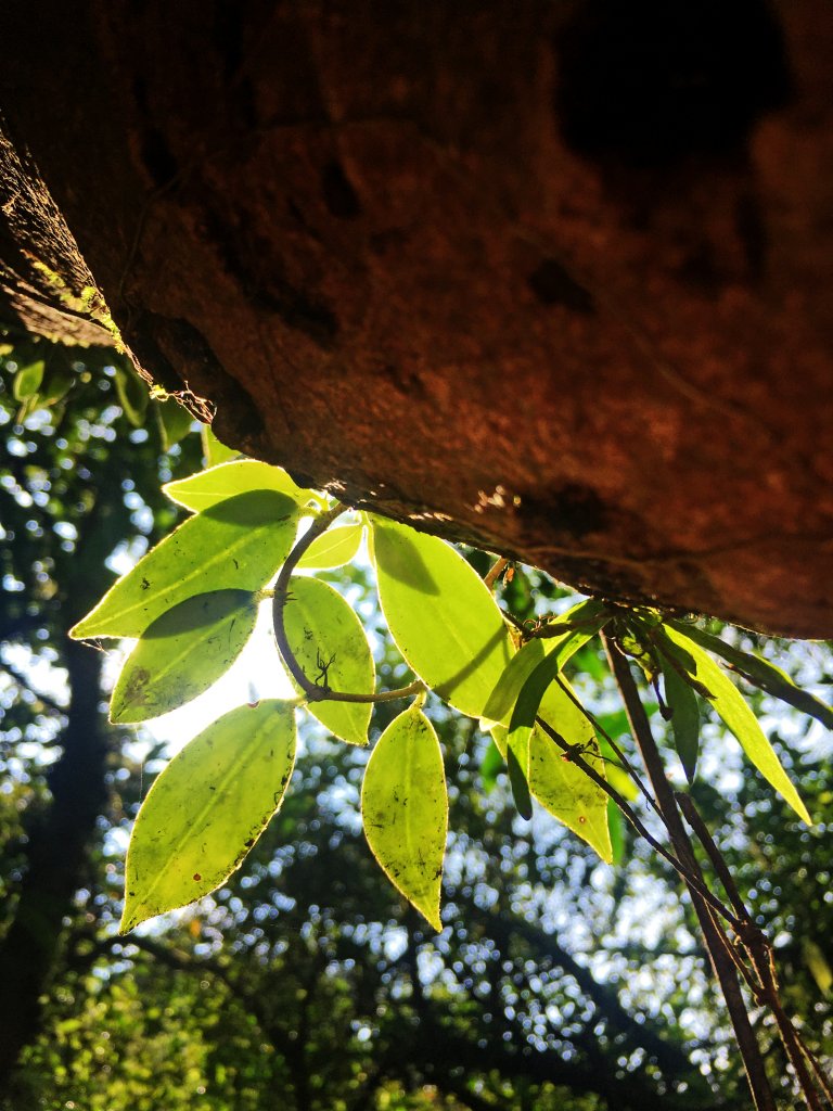 2021-9 石硿子古道_1491800