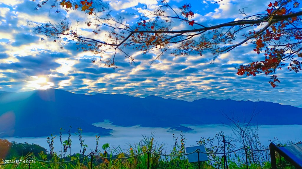 二訪馬拉邦山，解鎖 #琉璃光雲海 #日出雲海  #血月 #斜射光 #楓葉紅了！_2668625