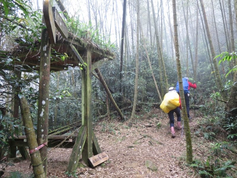 鳳凰北嶺線縱走_566169