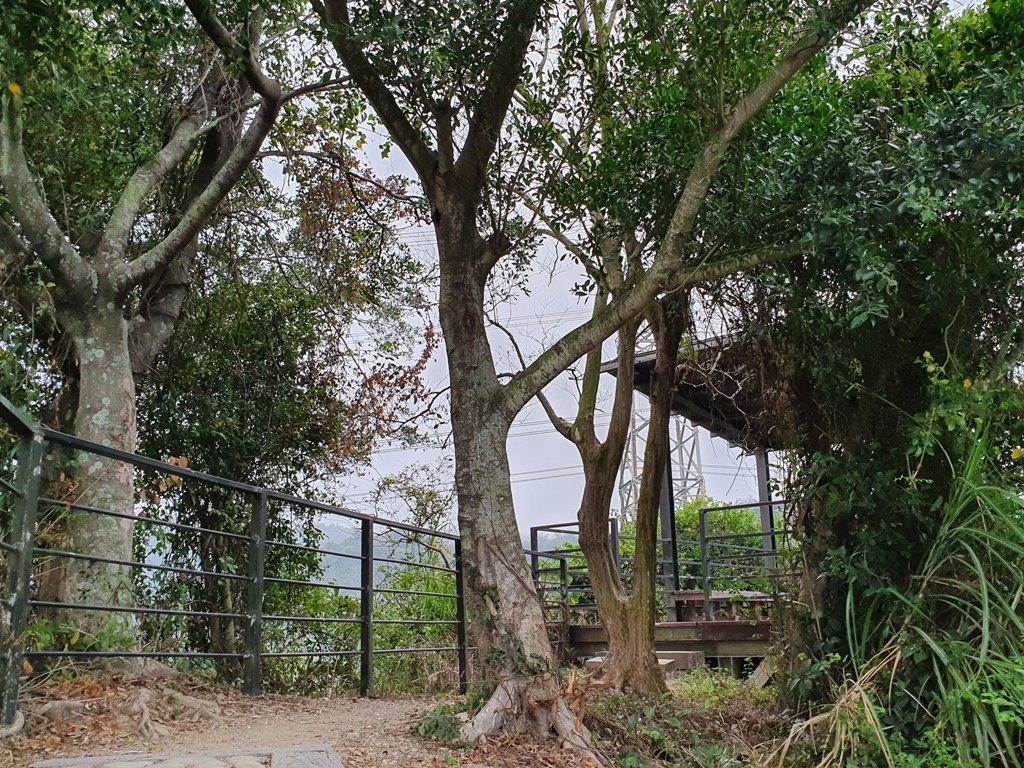 步道巡訪員│龍過脈步道3月巡訪日誌_872347