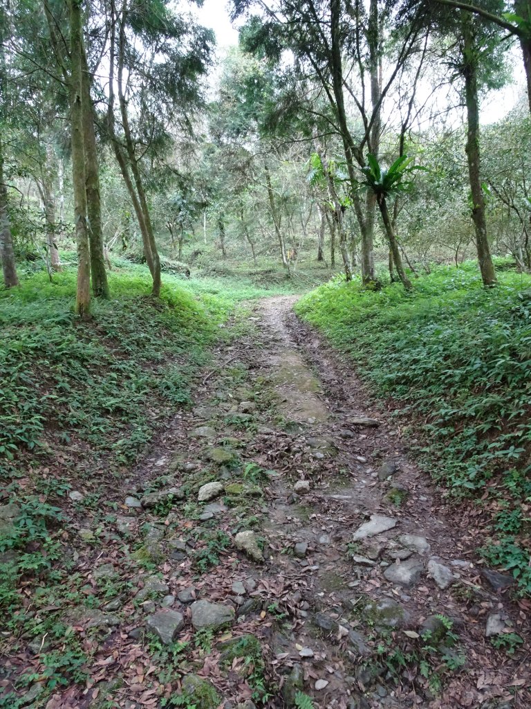 花蓮小百岳4座+美食之旅(住宿)_1274441