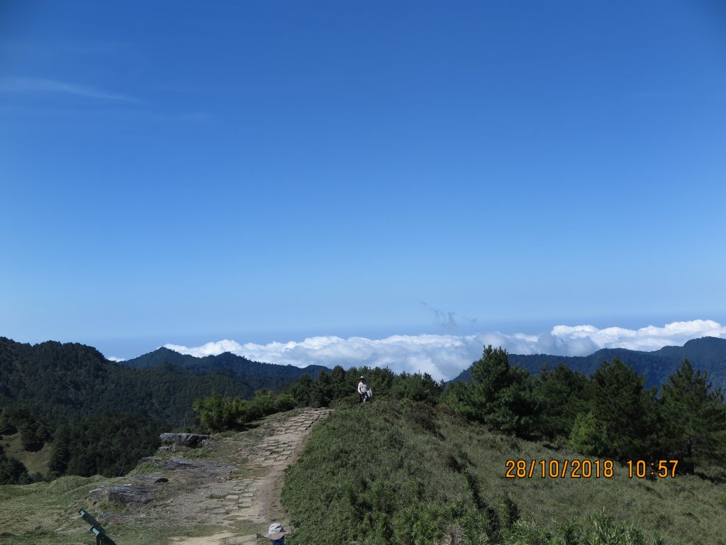 鹿林山及麟趾山封面圖