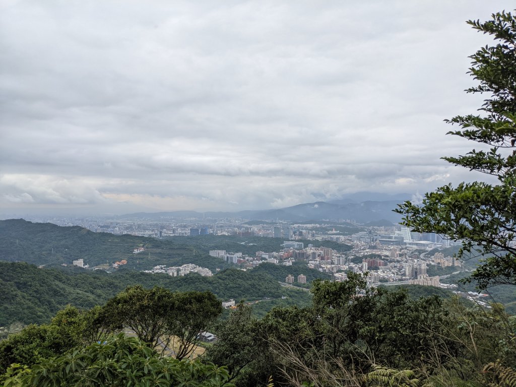 更寮 山豬窟尖 山豬窟尖西南 土庫岳 腦寮/栳寮古道_1505888