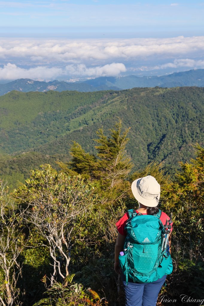 [新竹]內鳥嘴山、北得拉曼神木群_1925499