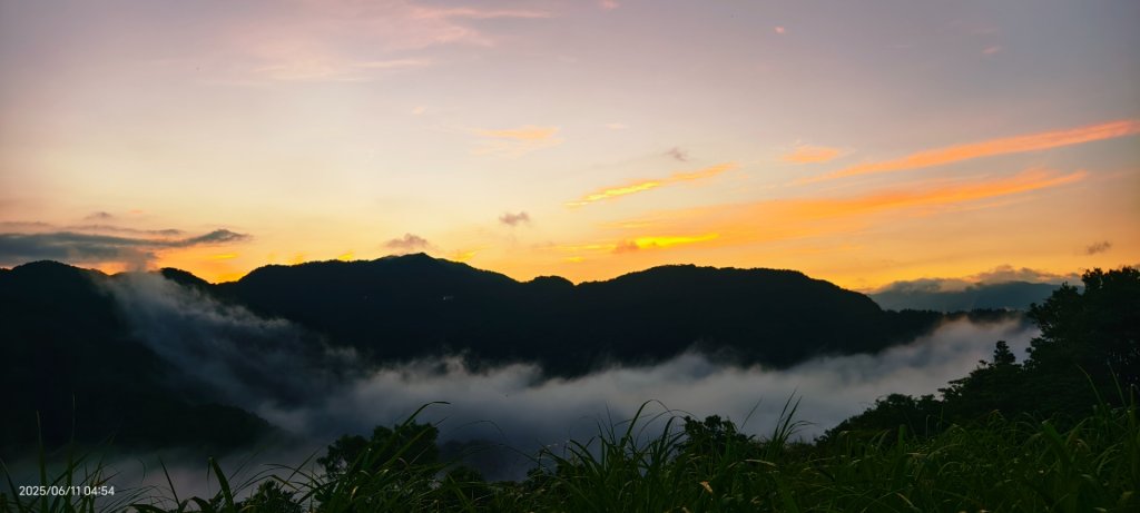 跟著雲海達人山友追雲趣 #草莓月亮 #月圓雲海 #霞光 #日出雲海 #茶園 6/11_2808770