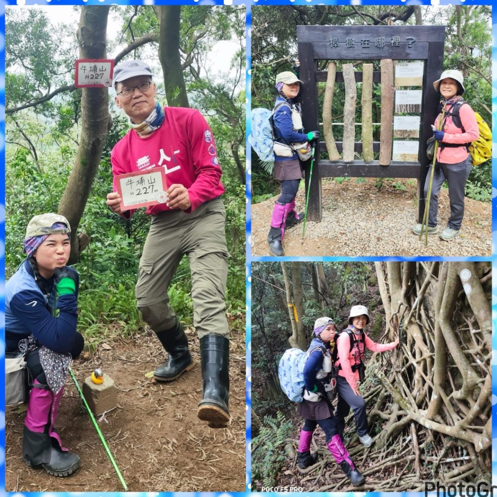 鳳鳴-龜山-鶯歌六連峰縱走/樹林大凍山-鶯歌蛋石山-鶯歌陶瓷博物館_2978555