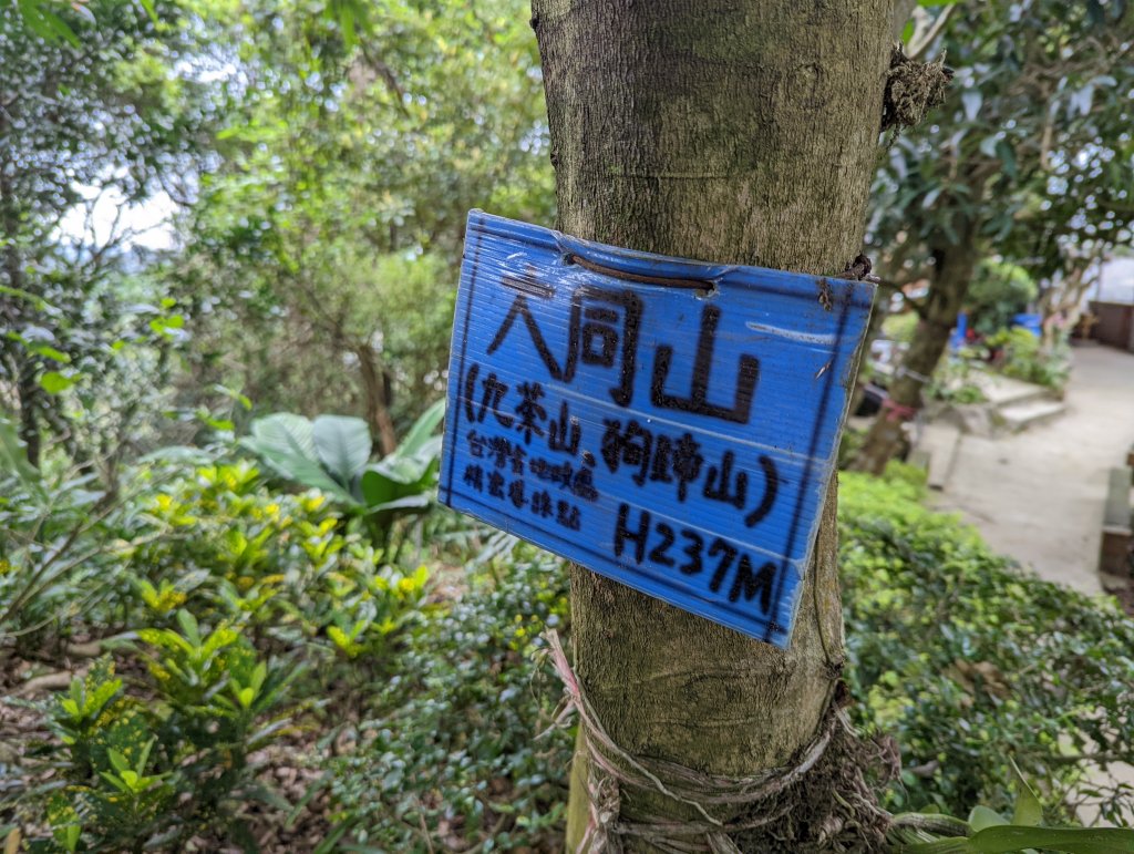 2022.03.05－大棟山縱走_1636868