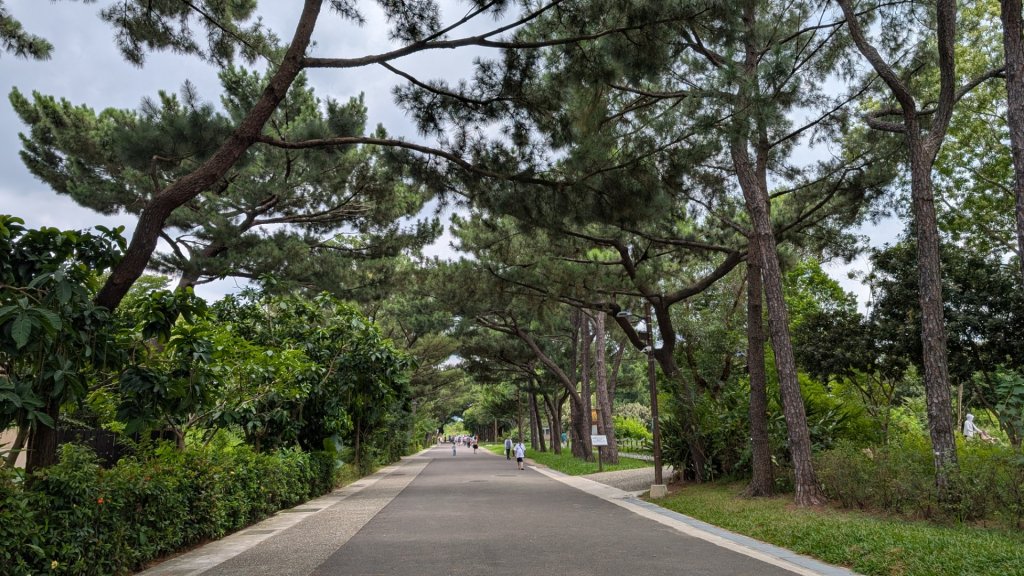 20250629大湳森林公園好所在封面圖