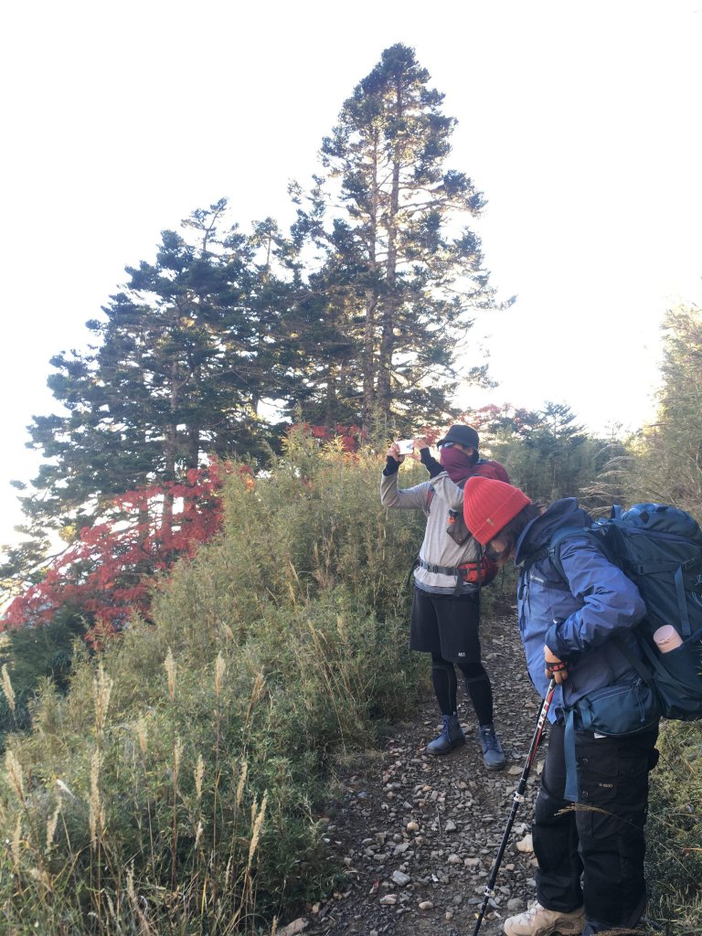 雪山 不下雪_533088