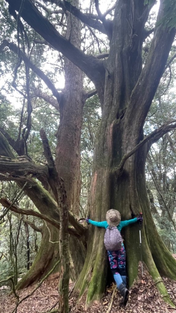 對關追龍貓🚌_1967735