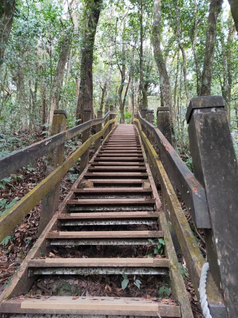 小百岳(37)-馬那邦山-20200229~【2020全家總動員~28分之08】_1715556