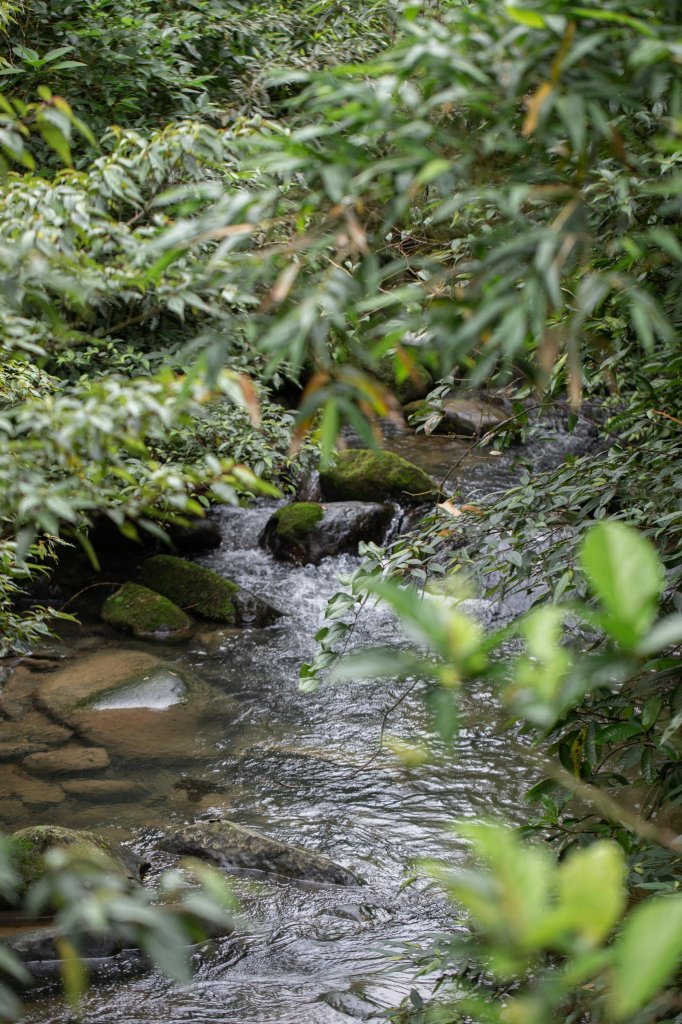 台北大縱走第七段 指南宮千階步道-樟山寺_1742848
