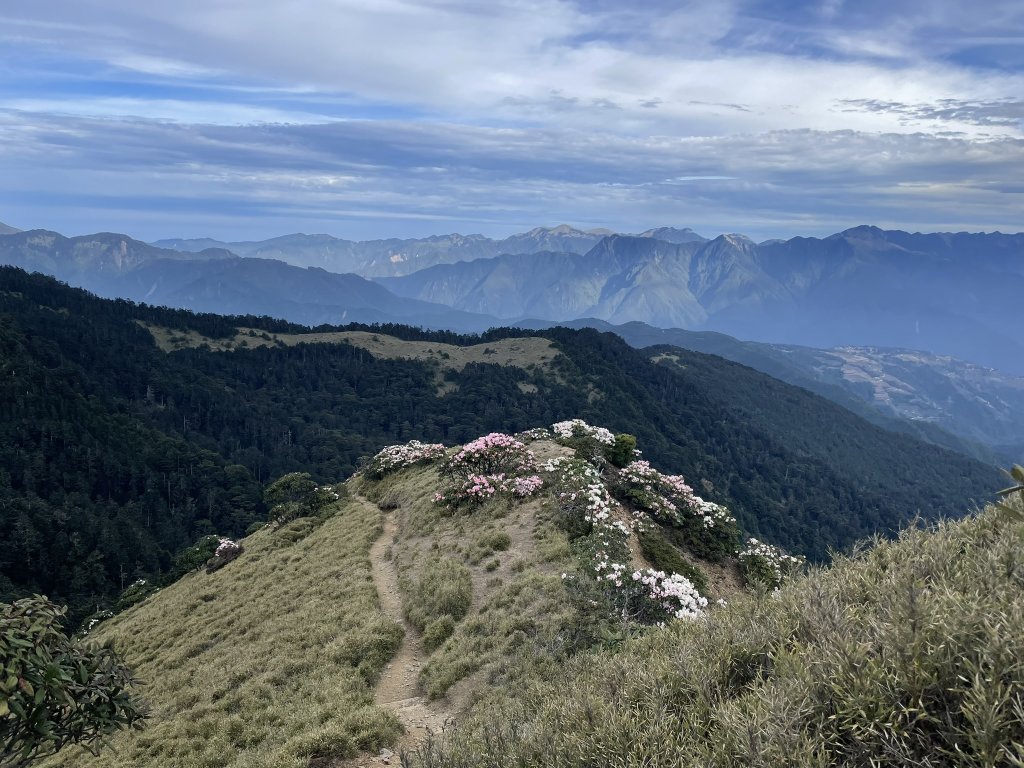 合歡北、西峰(三訪)113.04.21_2492782