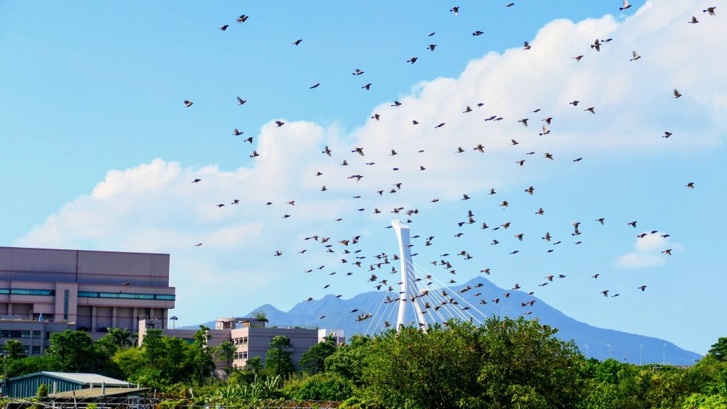 五分港溪_2937361