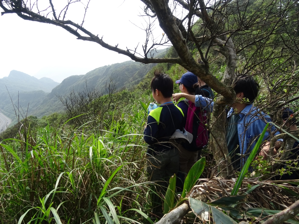 家人的同遊 深澳山港仔尾山蕃仔澳山8型PaPa走_52196