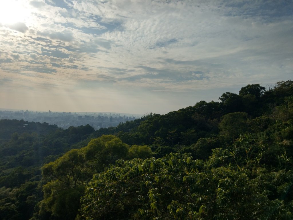 台中大坑10號登山步道_768686