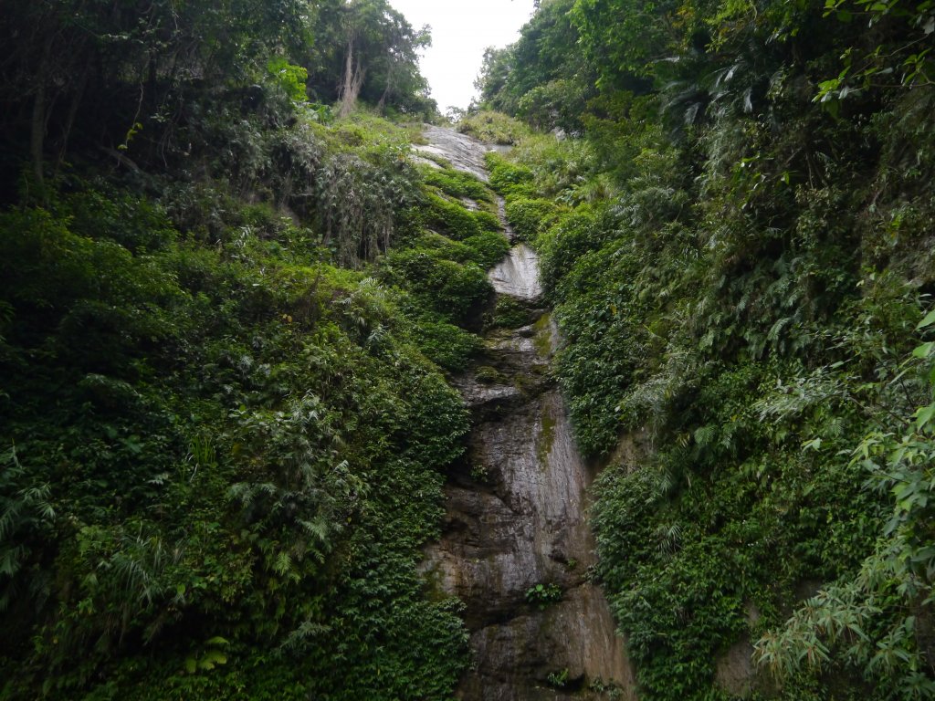 知本林道瀑布封面圖