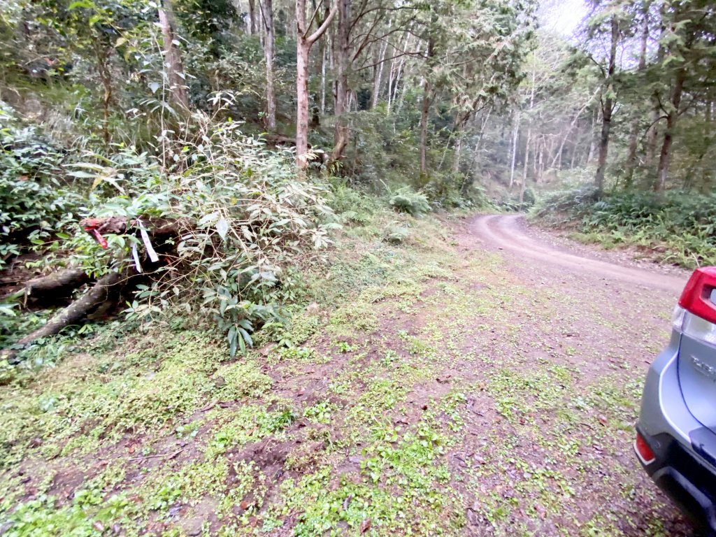 南橫小關山林道登留佐屯.小斯拉巴庫美瓏山_1233368