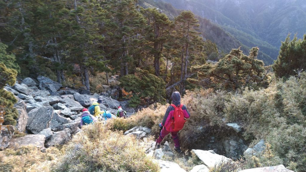 天使之淚嘉明湖+三叉山+向陽山+栗松溫泉_313047