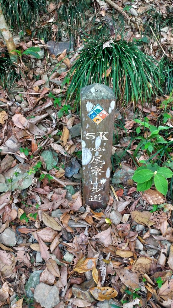 小百岳【尾寮山】_905252