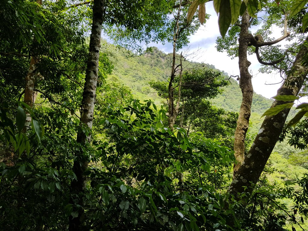 復興三尖之那結山_1423074