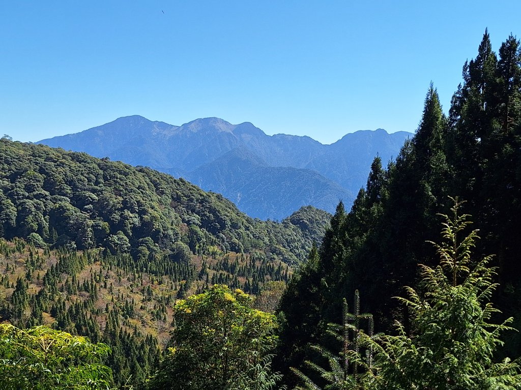 屋我尾山+G(大雪山進老鷹谷出)O型20250216封面圖