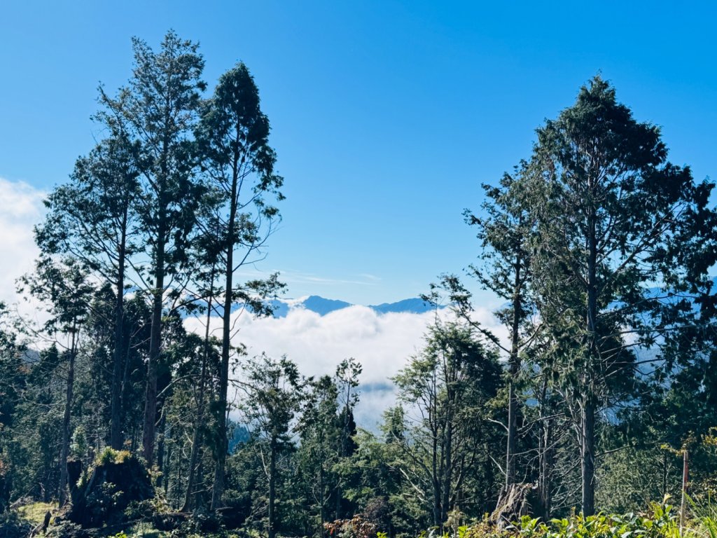 三星山(小百岳#85) 鳩之澤溫泉煮蛋趣_2952823