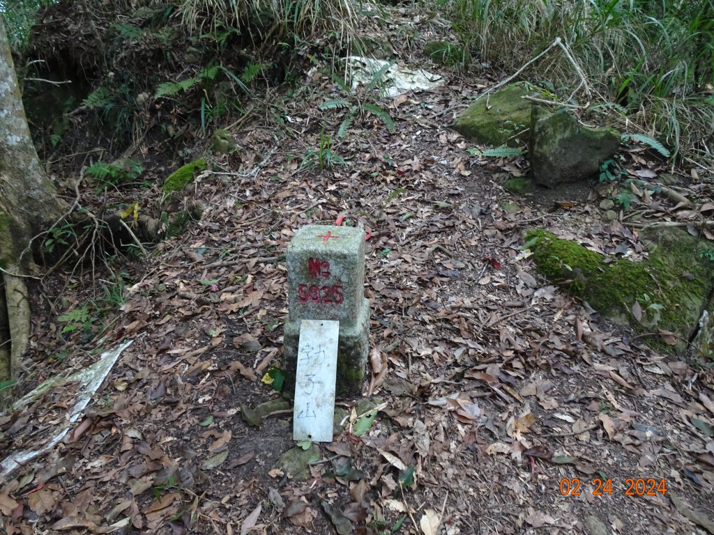 矢場谷山縱走勃子山往返_2436195