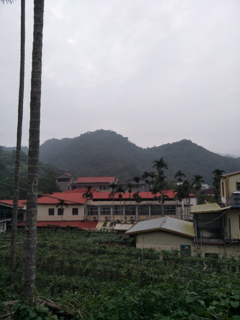 暗影山步道_1923749