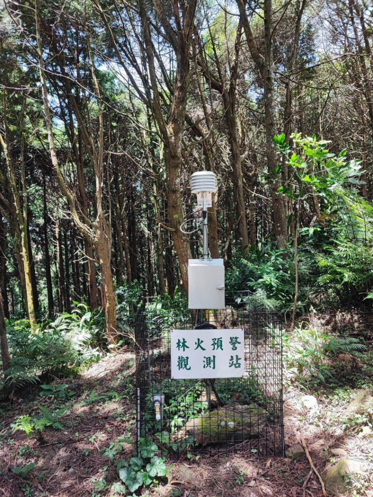 被削了一塊皮的五指山-小百岳#30-新竹縣北埔鄉_2246843