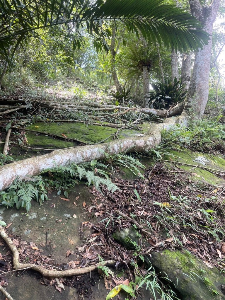 馬克縱走_2537707