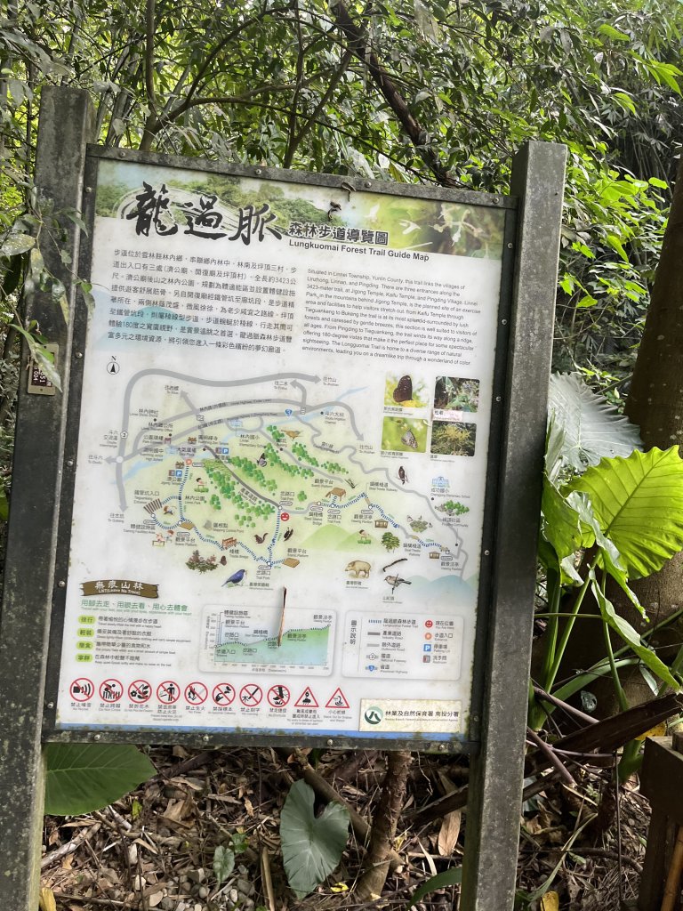 [百山百鳥尋旅-04/15] 2025_0817 龍過脈森林步道_2863258