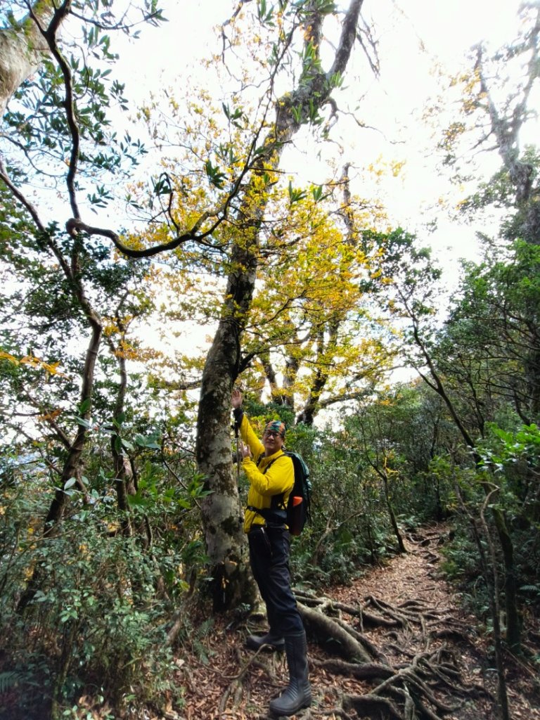1121125 鳥嘴山縱走貴妃山_2363964