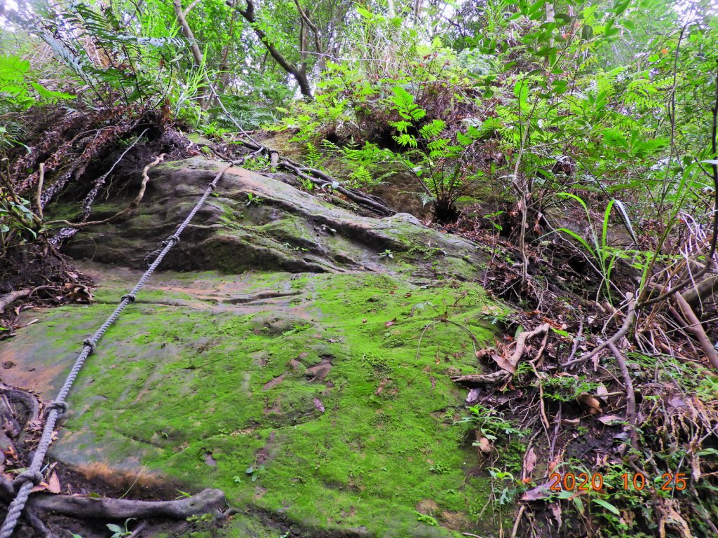 新北 石碇 永定坑山、鳥嘴尖、石霸尖_1143312