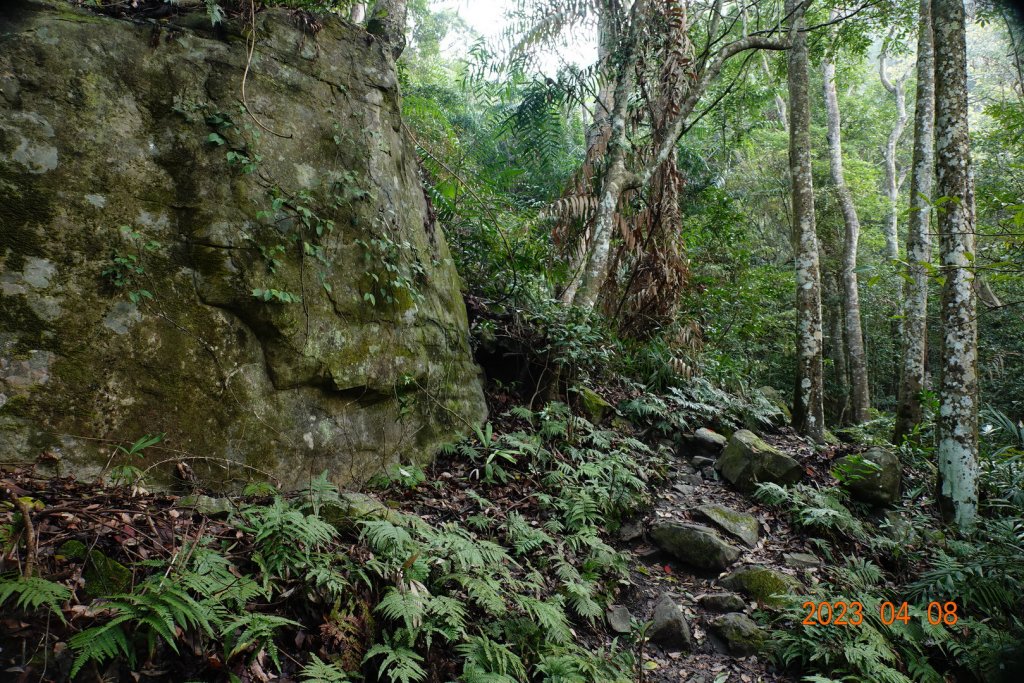 苗栗 泰安 虎山_2107205