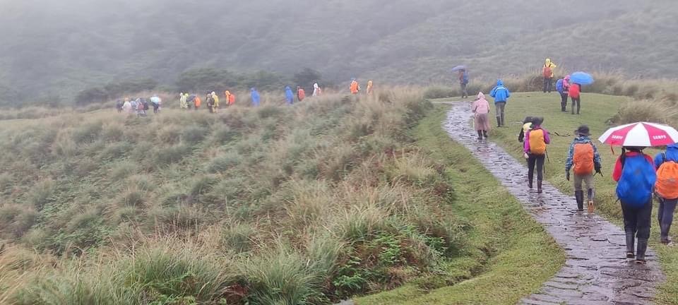 北五指山；內雙溪古道_1538662
