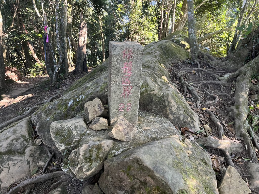 [森遊竹縣-10A/10] 2023_1112 東獅頭山_2347228
