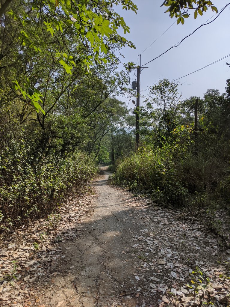 【高雄-小百岳】觀音山_稜線連峰O型縱走_796613