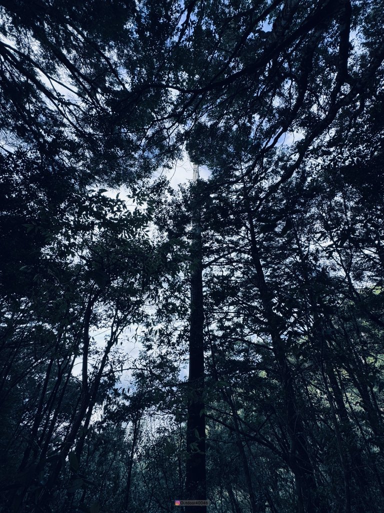 松鶴上八仙_2653179