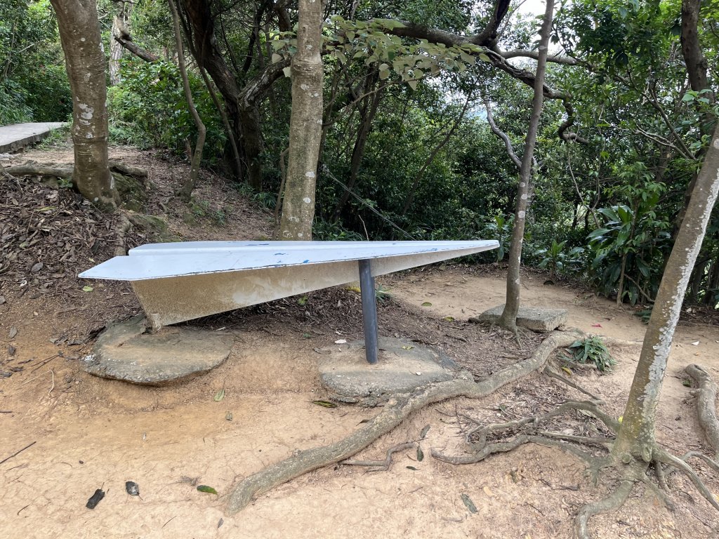 [山頂鳥40周年會員大縱走-14/15] 2024_0804 劍潭山親山步道_2566159