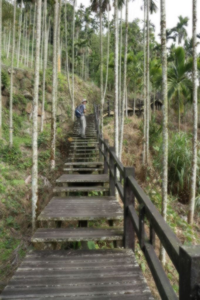 竹坑溪步道_235596