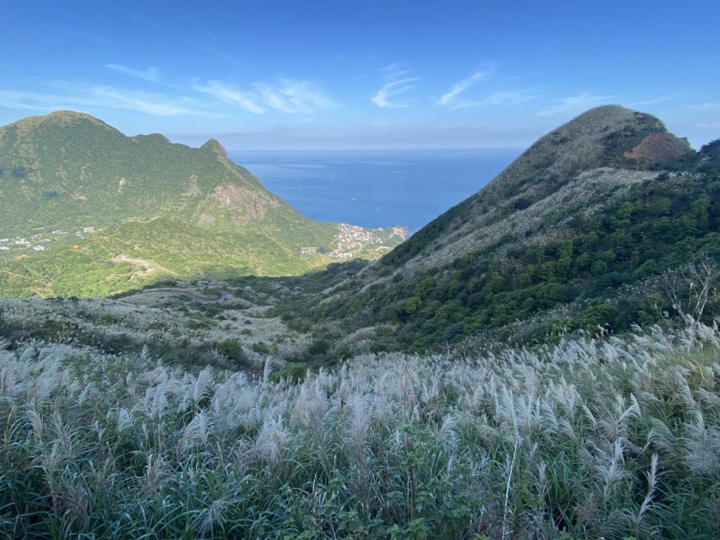 2023/11/23 茶壺山 半平山 燦光寮山 O繞_2389140