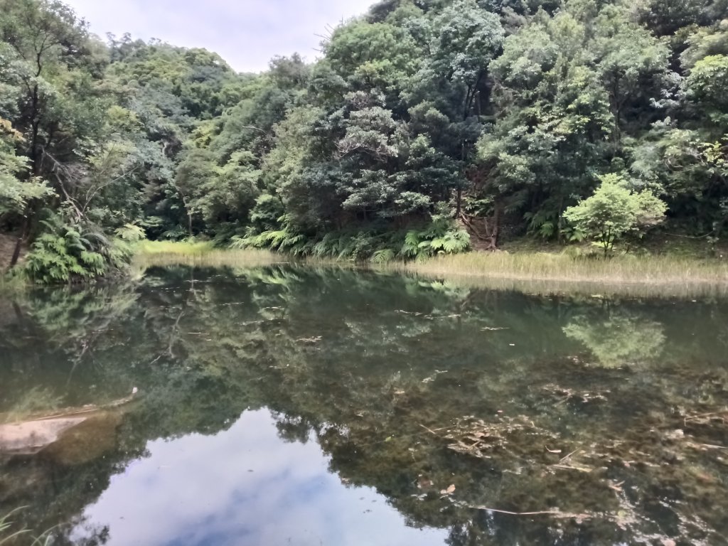 汐止區金明山B線+如意湖O型封面圖