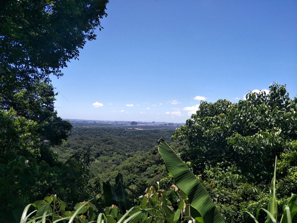 2019 07 17 金面山步道_631806