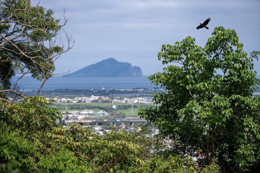 礁溪 五峰旗-跑馬古道封面圖