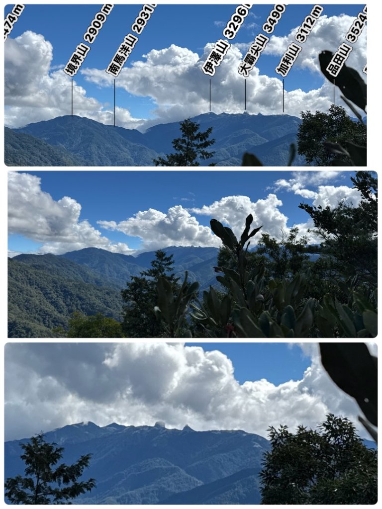觀霧-榛山步道_2926046