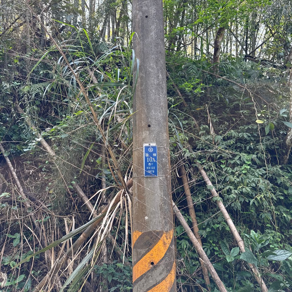 20250308古坑後棟山涼亭、挑筍古道_2730475