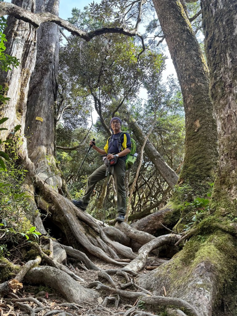 塔曼山 連走 拉拉山森林遊樂區 O繞 20251011_2923662