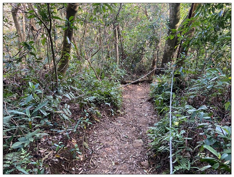 草嶺山、白石山、頭寮山 六連峰 O型路線_2798688