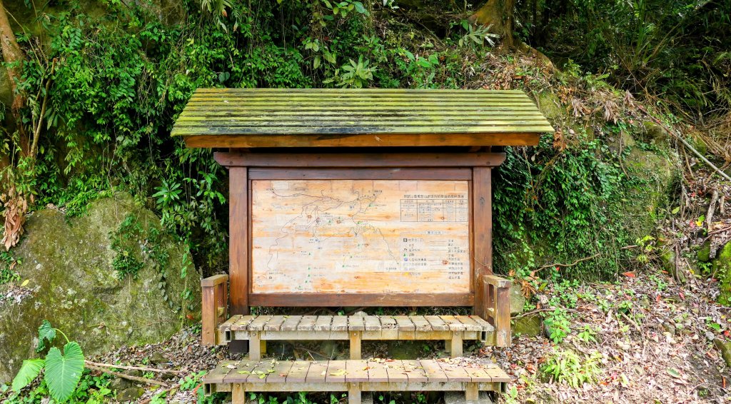 《臨江仙。木棉春色》_2735198